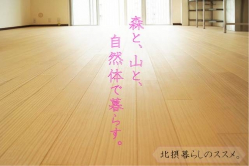 ���Ļ� ���ϸ���ؤκ�������Υ١���������ߤβ���