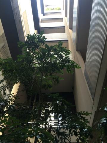 �������� �ɡ����������ؤκ�������Υ١���������ߤβ���