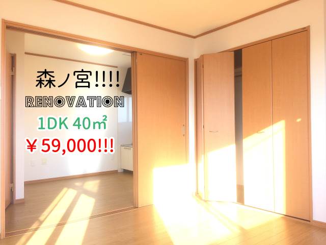 ���������� �ж��ؤκ�������Υ١���������ߤβ���