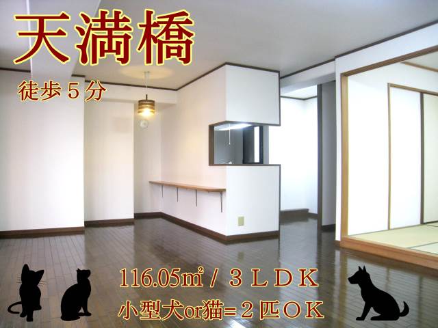 �����̶� ŷ�����ؤκ�������Υ١���������ߤβ���