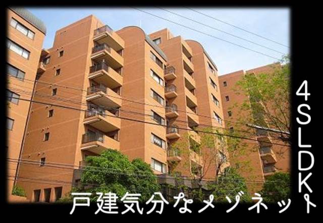 ˭��� ��ϩ�ؤκ�������Υ١���������ߤβ���