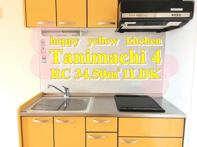 ��������� ëĮ�����ܱؤκ�������Υ١���������ߤβ���