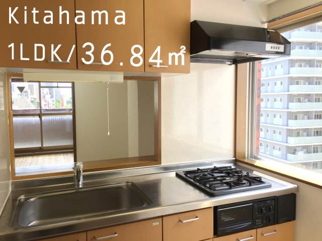 ��������� ���ͱؤκ�������Υ١���������ߤβ���