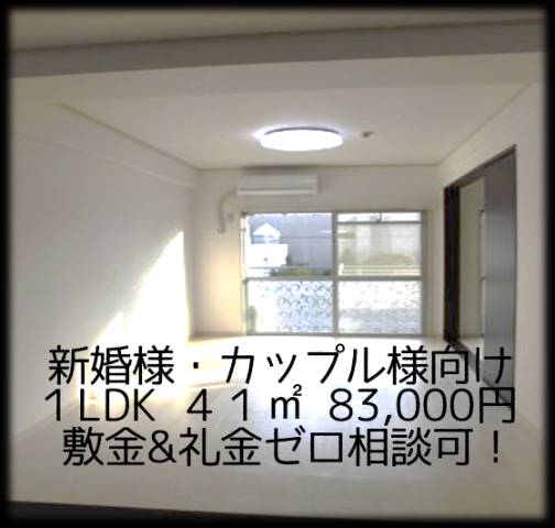 ��������� �����ؤκ�������Υ١���������ߤβ���