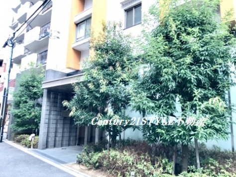 �������� �ͥĶ��ؤκ�������Υ١���������ߤβ���