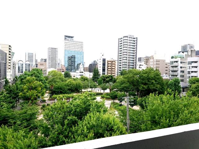 ��������� ëĮ�����ܱؤκ�������Υ١���������ߤβ���