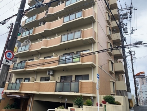 ̶ ŷϻܱؤκΥ١ߤβ