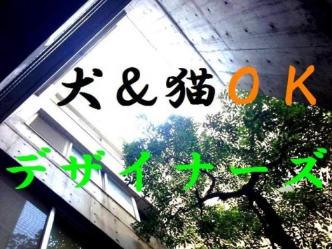 �������� ���綶�ؤκ�������Υ١���������ߤβ���