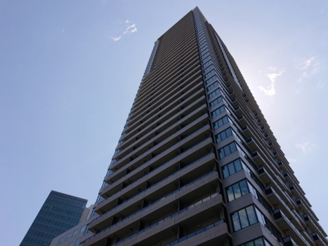 ��������� ���ͱؤκ�������Υ١���������ߤβ���