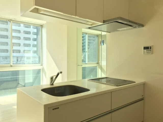 �������� �ͥĶ��ؤκ�������Υ١���������ߤβ���