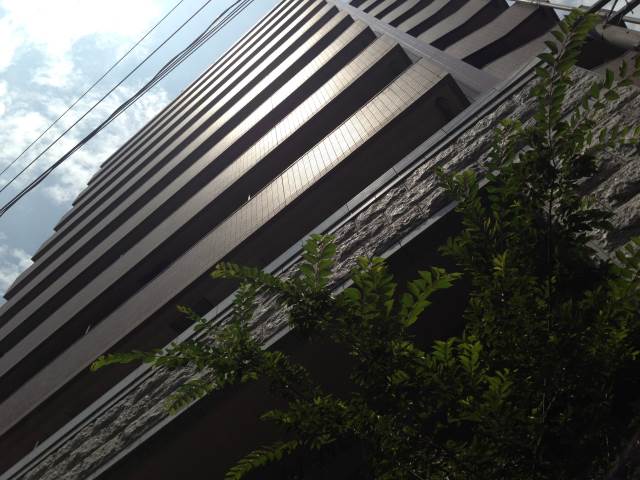 �������� ���Ⱥ±ؤκ�������Υ١���������ߤβ���