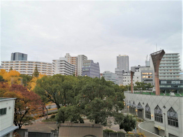 �������� ��Į�ؤκ�������Υ١���������ߤβ���