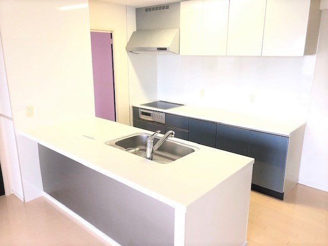 ����ŷ������ ������Į�ؤκ�������Υ١���������ߤβ���