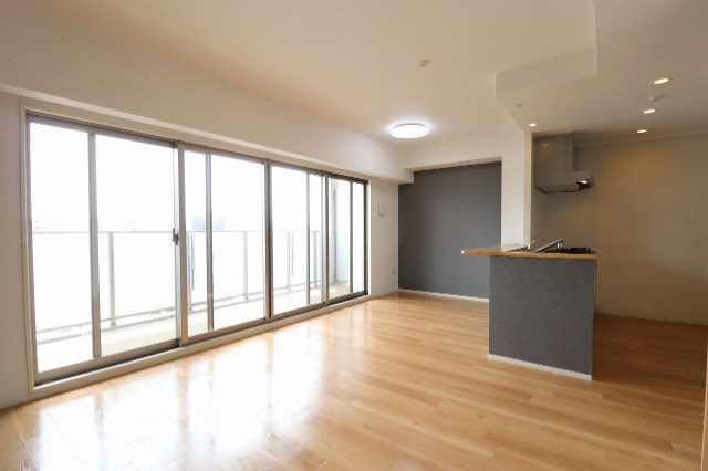 ����ϲ®�� ����ؤκ�������Υ١���������ߤβ���