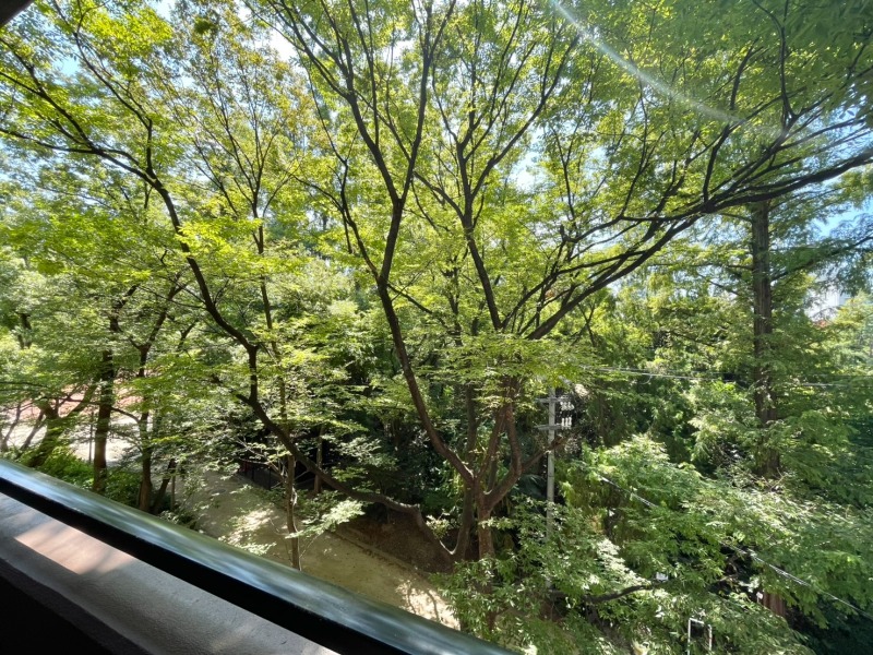 �������� ��嶶�ؤκ�������Υ١���������ߤβ���