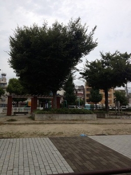 ����������� �����ɤ�˭Τ�ؤκ�������Υ١���������ߤβ���
