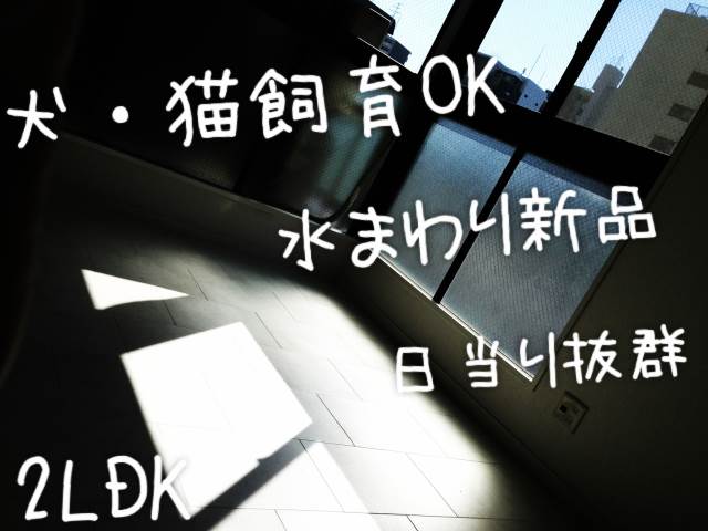 �������� �ɡ����������ؤκ�������Υ١���������ߤβ���