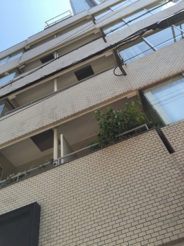 �������� ��Į�ؤκ�������Υ١���������ߤβ���